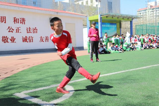 布莱顿庆祝3-0战胜阿森纳 续写骄人战绩